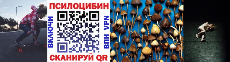Псилоцибиновые грибы GOLDEN TEACHER  Ногинск 