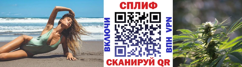 Шишки марихуана THC 21%  Ногинск 